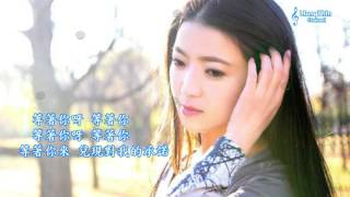 精选好听的中文歌曲 【+歌词】风中花雨楼 任妙音 Chinese Classic Romantic Music Relaxing Loving Music