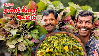 ஐயர் வீட்டு ஆறு மாத தண்டு கீரை பருப்பு கூட்டு - Six month stem spinach - Iyer home lentil joint