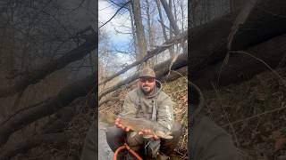 Here’s another wild brown trout from my latest trip out! #flyfishing