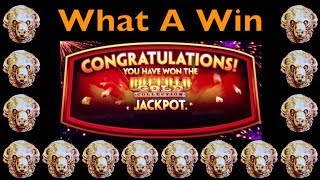 💰 BUFFALO GOLD JACKPOT Wonder 4 Wheel Slot Machine Very Big Win Aristocrat Pokie Machine 버팔로 슬롯 머신