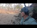 Metal Detecting And Prospecting For Gold And Relics In Australia: In The Bush