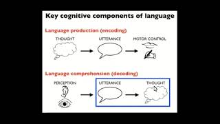 LTI Colloquium: The Language System in the Human Mind and Brain -- Ev Fedorenko