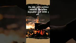 සාර්ථකත්වය යනු ඔබ කොතරම් ඉහළට නැග්ගාද යන්න නොව, ඔබ ලෝකයට ධනාත්මක වෙනසක් කරන්නේ කෙසේද යන්නයි.😊❤️