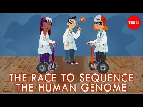What were the six main goals of the Human Genome Project?