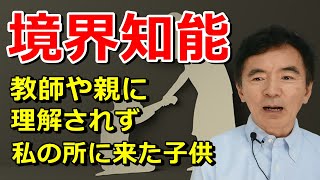 境界知能は生きづらい 軽度知的障害と健常者の間 教員や親から理解されない 知的障害～臨床数15000回超の心理カウンセラー 竹内成彦