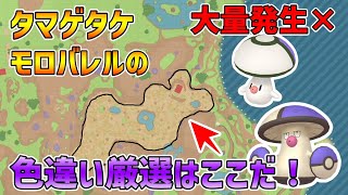 【ポケモンSV】大量発生なし！タマゲタケ・モロバレルの色違いはここで厳選しよう！！【スカーレット/バイオレット】