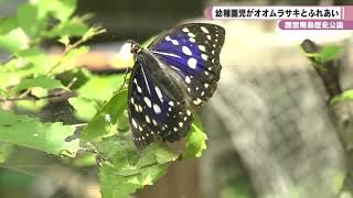 国営飛鳥歴史公園　幼稚園児がオオムラサキとふれあい