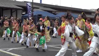 総 踊 り①「よっちょれ」／YOSAKOIかぬまフェスティバル2013