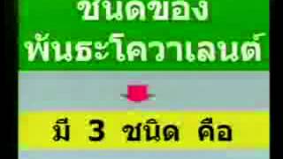 วิชาวิทยาศาสตร์เพื่อพัฒนาทักษะชีวิต (ปวช.1) ประจำวันที่ 9 กรกฎาคม 2558