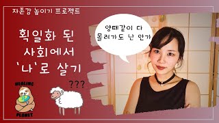 한국의 획일화 문화에서 휘둘리지 않는 법 🐏 (군중심리) #자존감