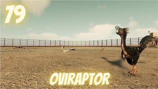 Random Dinosaur Facts in Under a Minute Ep 79: Oviraptor