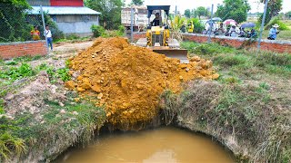 Wonderful First New Project!! Complete 100% Landfill up Pond Bulldozer & Truck 5T Pushing Rock Soil