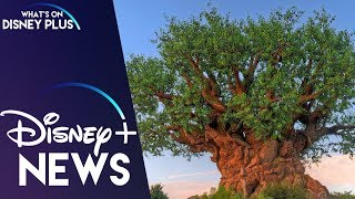 Magic Of The Animal Kingdom Announced For Disney+  | Disney Plus News