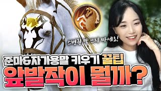 [BDO/검은사막] 앞발작의 모든것! 이거면 나도 준마오너- 절.대.따.라.해.