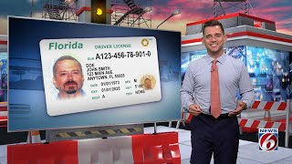 Here's how long you have to get a Florida driver's license, registration when moving to Florida