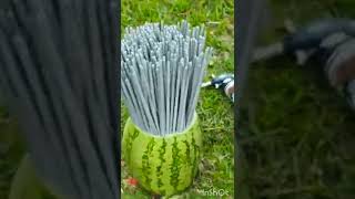 500 SPARKLERS VS WATERMELON💥| FUNNY EXPIRIMENT|must watch video🥵#shorts