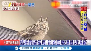 糗翻！錯把假貓頭鷹當真 記者囧爆連線頻道歉｜記者 魏仁君｜【國際大現場】20190223|三立新聞台