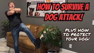 How to Survive a Dog Attack!