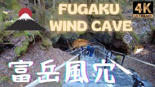 [JAPAN TRAVEL] Fugaku Wind Cave |Fujikawaguchiko A natural refrigerator?!  [cc English/日本語/中文]