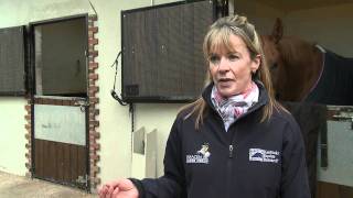 Feeding Broodmares