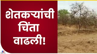 Jalna Fruit Farm | जालन्यात अपेक्षेपेक्षा कमी पाऊस, फळबागांवर परिणाम, शेतकरी चिंतेत