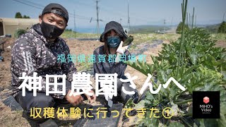 神田農園さんでお野菜収穫体験！YouTubeやってて良かったあ！/Fresh Vegetable Harvest Experience/@Kanda Farm FUKUOKA JAPAN