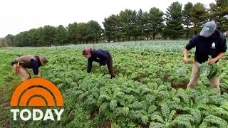 Philadelphia Farm Grows Food To Donate To Communities In Need