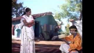 Tor Saap La Dekha Na - Bambaiwali -Chhattisgarhi Hot Stage Show - Sanjeevan Tandiya