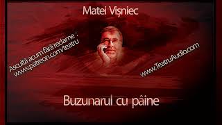 Buzunarul cu paine (1994)  - Matei Visniec #teatruaudio #teatruonline #teatruradiofonic #teatru