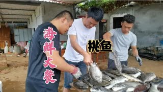 潜水赶海抓100多斤鱼，随便挑几条做鱼宴，锋哥请探海兄弟干大餐