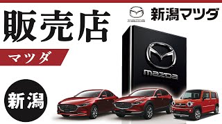 【新潟】マツダの販売店で人気の新潟マツダ