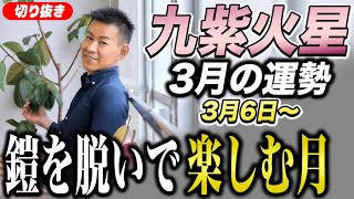 【3月九紫火星】2023年3月の運勢！【九星気学】恋愛運最高なのに運勢悪い？【NineStar風水】【開運コンシェルジュ】