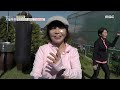 생방송 오늘 아침 개그우먼 김현영의 건강관리법 mbc 211104 방송