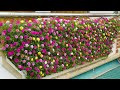 Creative Balcony Garden, Turn Your Balcony Into A Beautiful Garden With Plastic Bottles