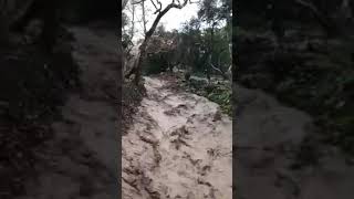 Montecito Creek on Jan 31, 2019