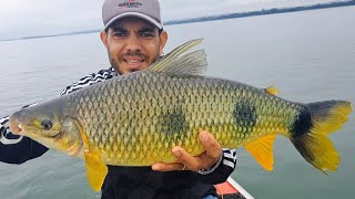 PIAPARA GIGANTE !!! USE ESSA ISCA E GARANTA AS MAIORES PIAPARAS DA SUA VIDA./PESCARIA DE PIAPARA..