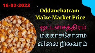 #ஒட்டன்சத்திரம்மார்க்கெட் |  மக்காச்சோளம் இன்றைய விலை | Today Maize Price At Oddanchatram Market