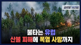 2022. 07. 18. [글로벌 브리핑] 불타는 유럽…산불 피해에 폭염 사망까지