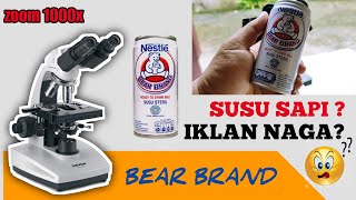 zoom 1000x cow's milk BEAR BRAND ️| dragon ad❓