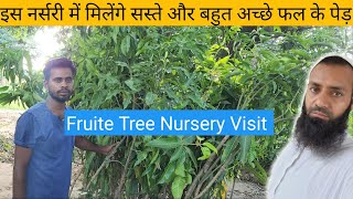 यहाँ मिलेंगे अच्छी नस्ल वाले फल के पेड़ 👏Nursery Visit With Price🌹Best Fruite Tree in Bareilly🌱