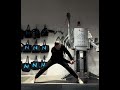 Wide Stance Bent Over Cable Rotation (cable at hip height)