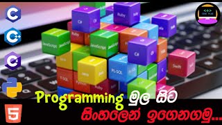 කොහොමද C variables හදන්නෙ.Statments ලියන්නෙ සහ සරල calculation.