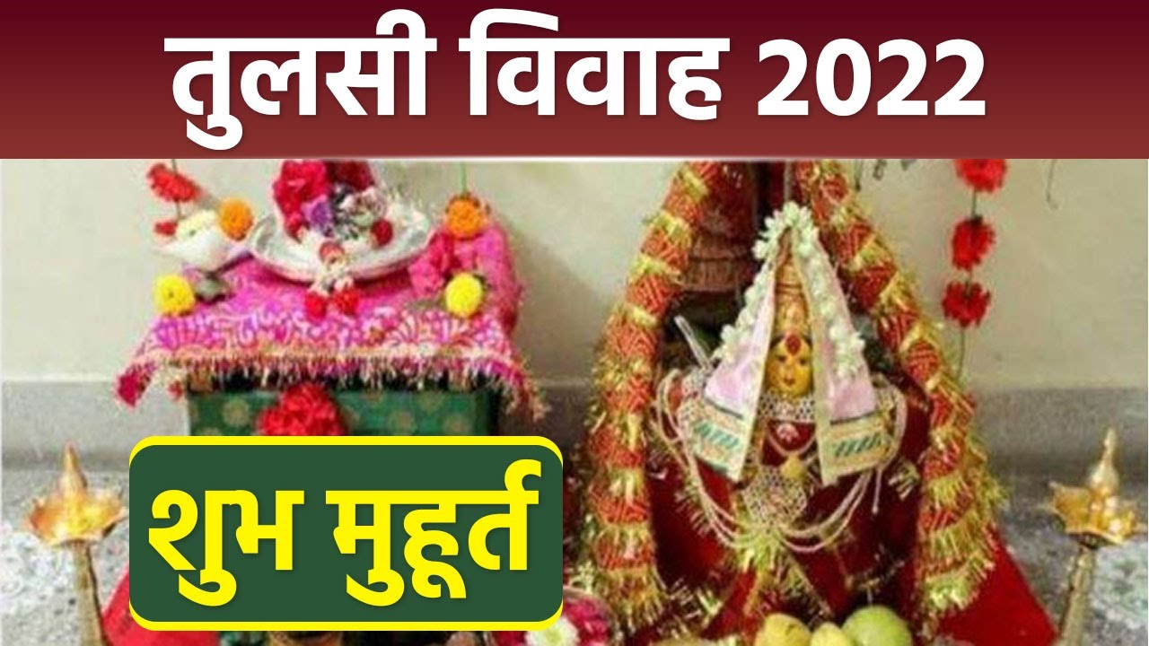 Tulsi Vivah 2022 : तुलसी विवाह शुभ मुहूर्त 2022 । Tulsi Vivah Shubh ...