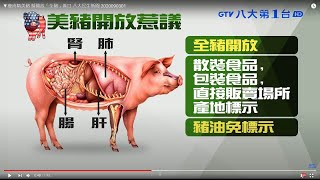 ▼瘦肉精美豬 擬開放「全豬」進口 八大民生新聞 2020090301