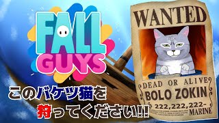 【Fall Guys/フォールガイズ】遠慮はいりません🔥徹底的に狩ってください☠