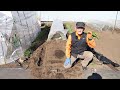 tips for shallow planting of potatoes from a japanese farmer