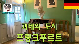 프랑크푸르트의 자존심, 괴테를 통해 알아보는 18세기 상류층의 삶