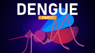 Dengue Explained in 5 Minutes