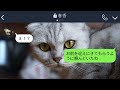 【line】母の命日に墓参りに行くと「さぼらないで働け」と激怒する非常識妻→優しい旦那を本気で怒らせた女の末路がwww