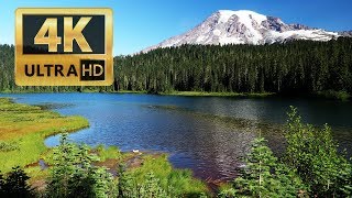 Reflection Lake. Mt. Rainier,  Panasonic LUMIX S1 \u0026 DJI Ronin-S 20190816 4K